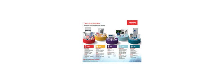 Cell Culture Workflow Poster