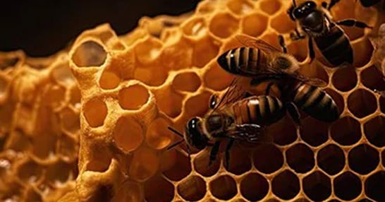 Addressing the Pollinator Shortage